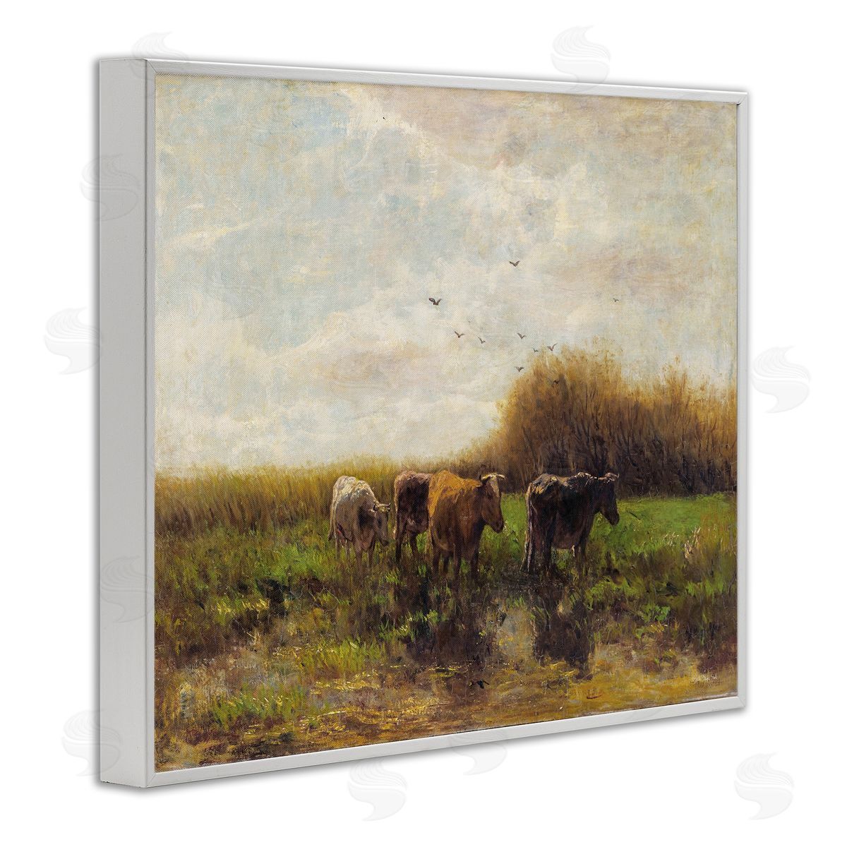 Stellar Design Studio Cattle Stepping Rural Scenery