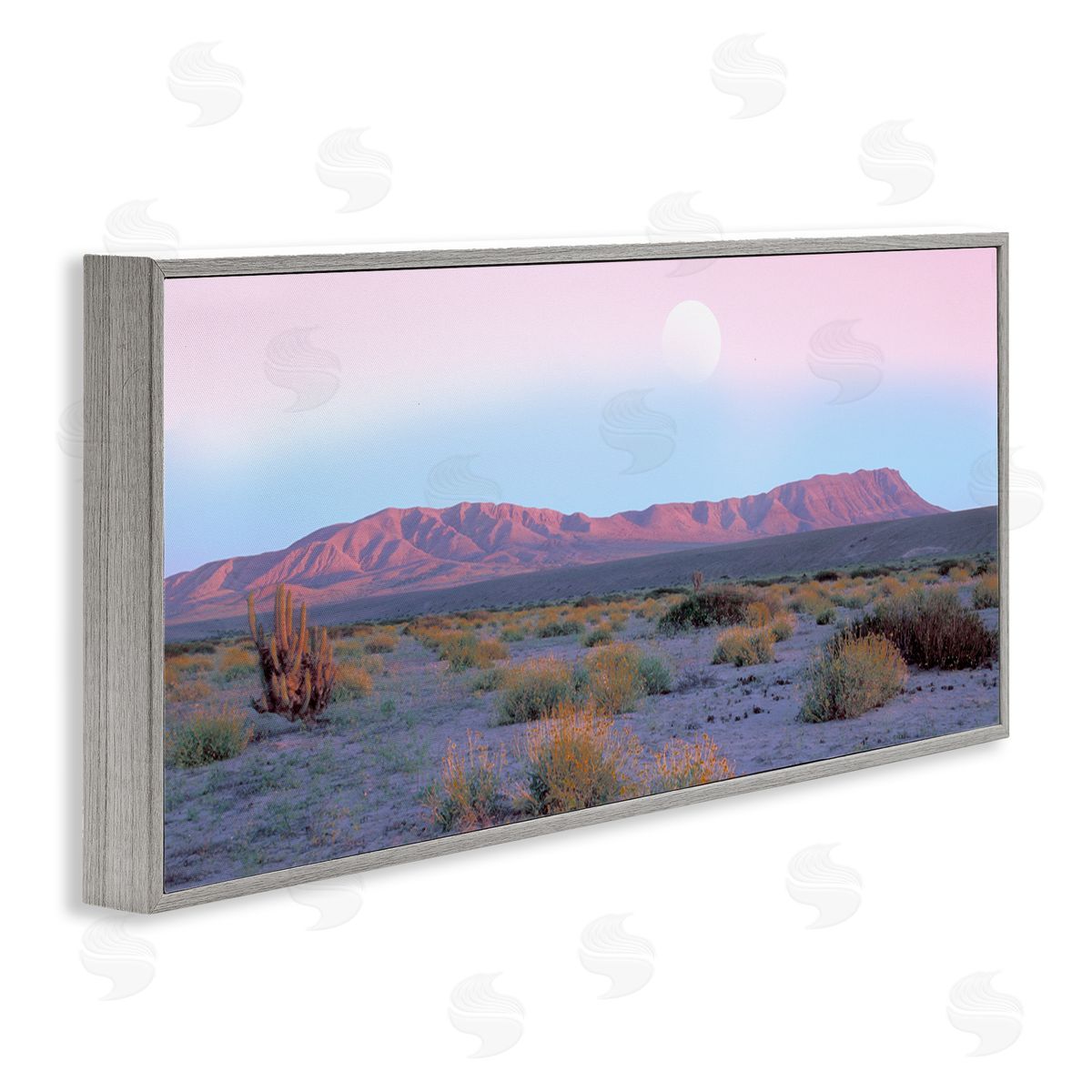 Danita Delimont Desert Sun Arid Plateau