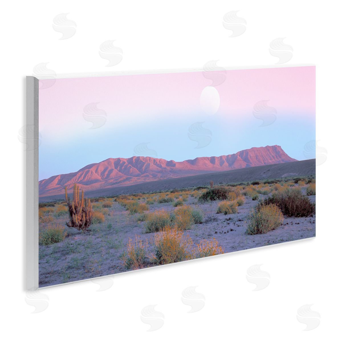 Danita Delimont Desert Sun Arid Plateau