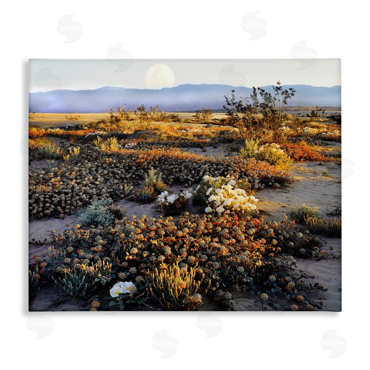 Danita Delimont Mountain View Desert Vegetation