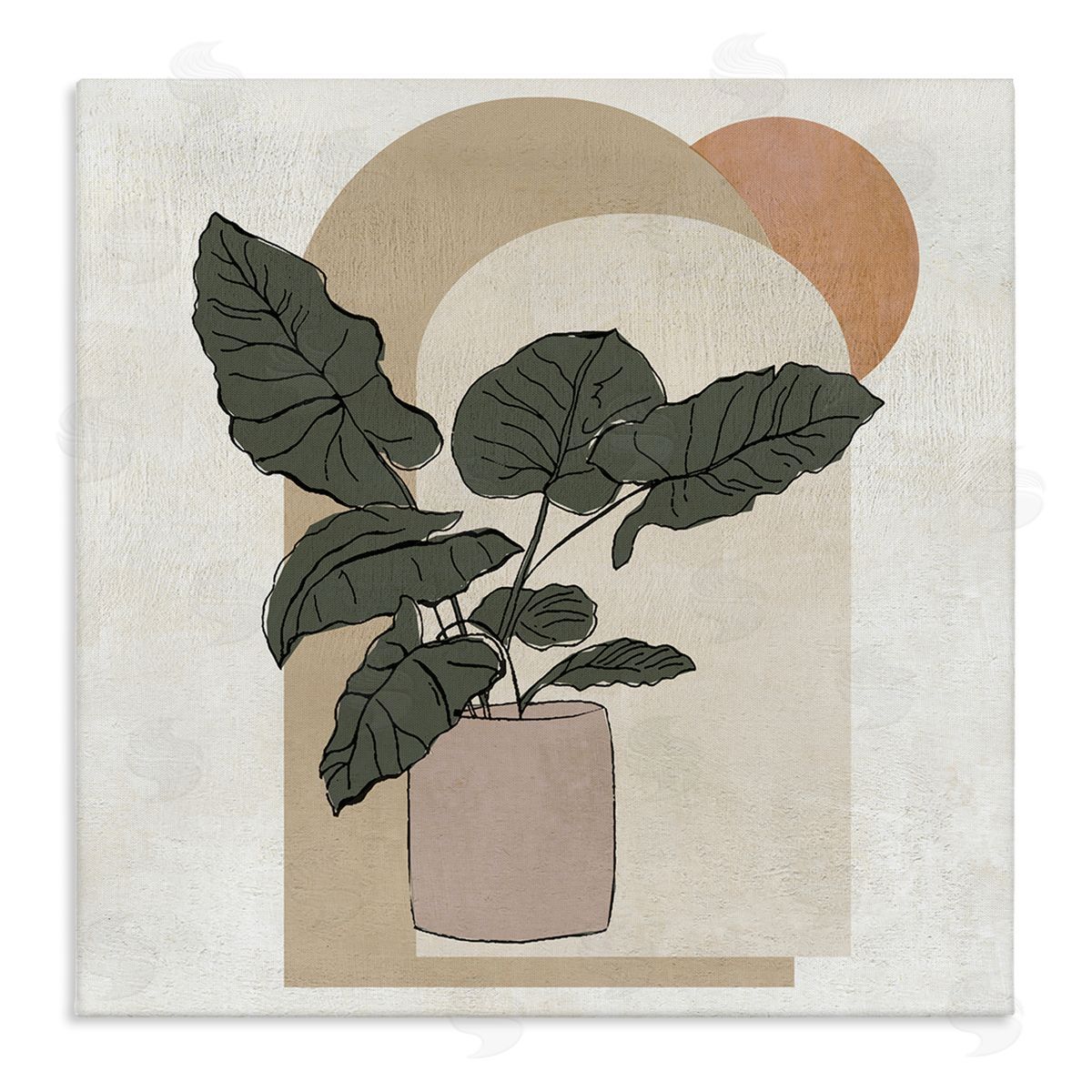Janet Tava Potted Plant Arched Geometric Shapes Stretched Canvas Wall Art Print