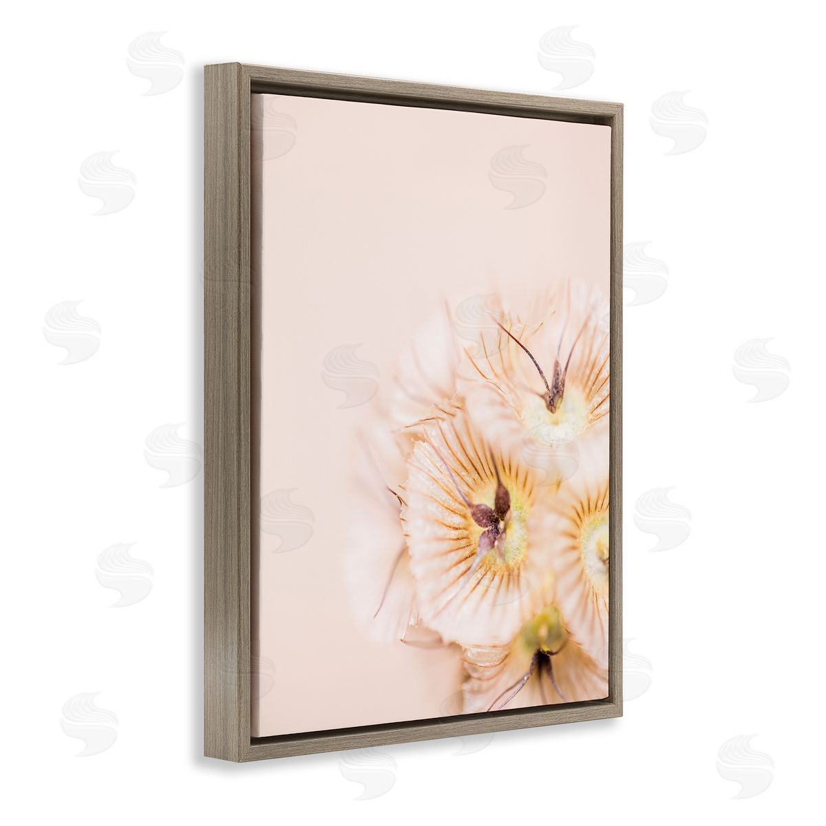 Renee W. Stramel Close Up Pink Flower Anther 