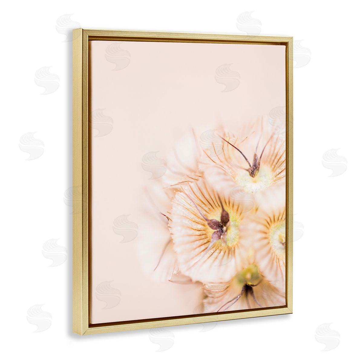 Renee W. Stramel Close Up Pink Flower Anther 