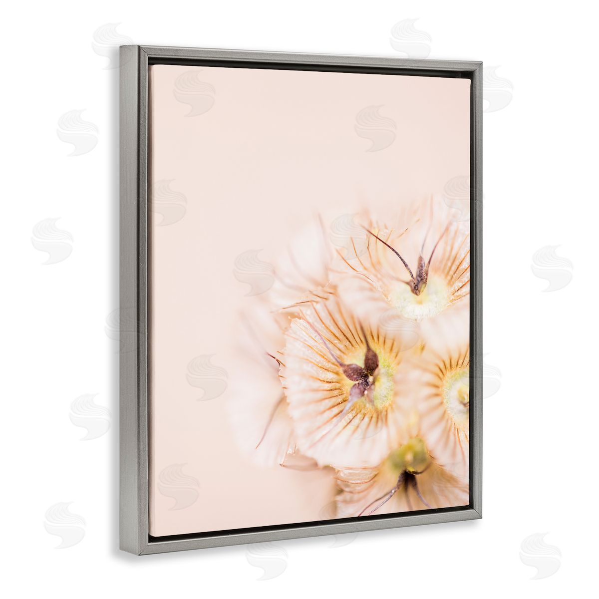 Renee W. Stramel Close Up Pink Flower Anther 