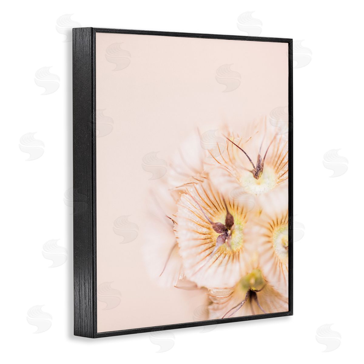 Renee W. Stramel Close Up Pink Flower Anther 