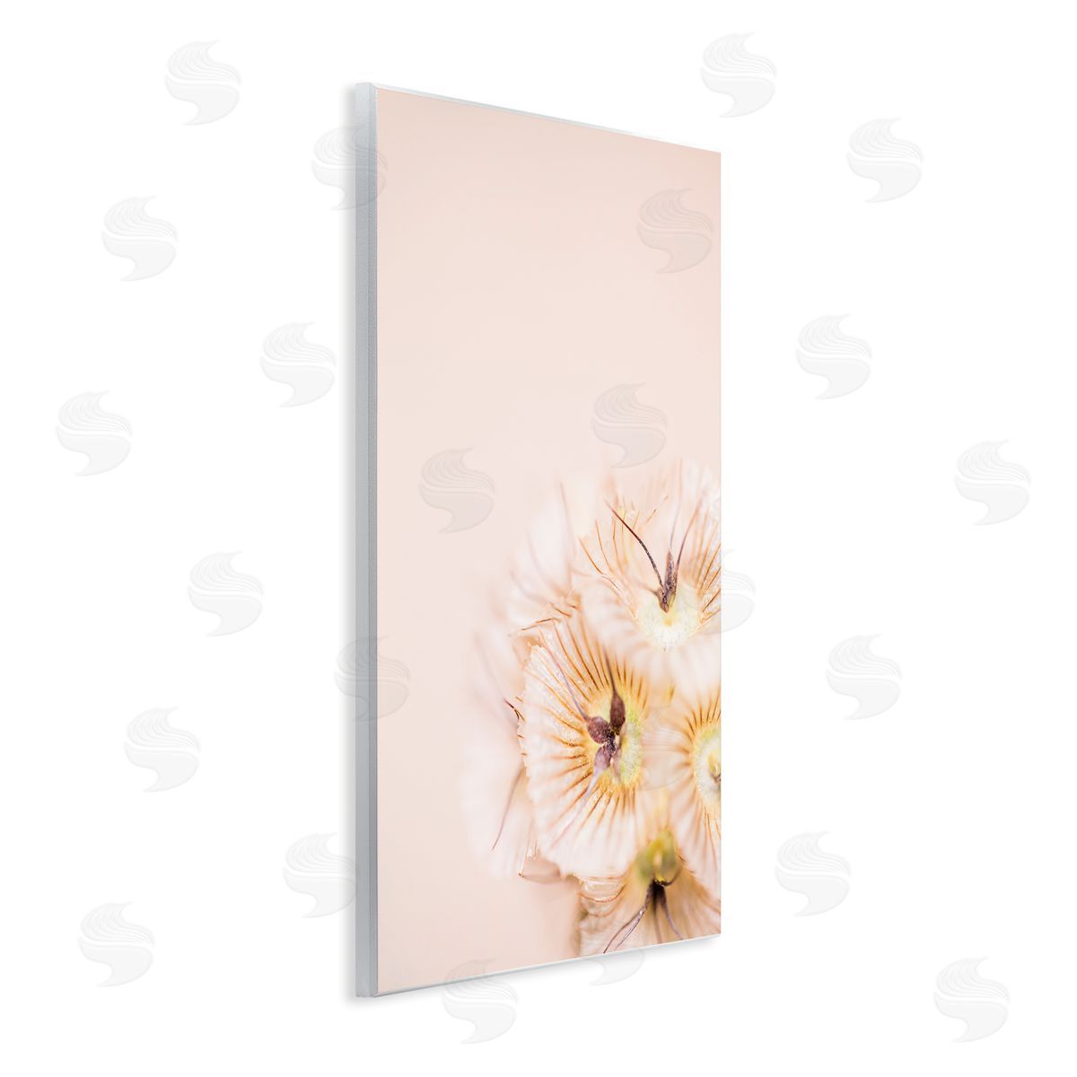 Renee W. Stramel Close Up Pink Flower Anther 