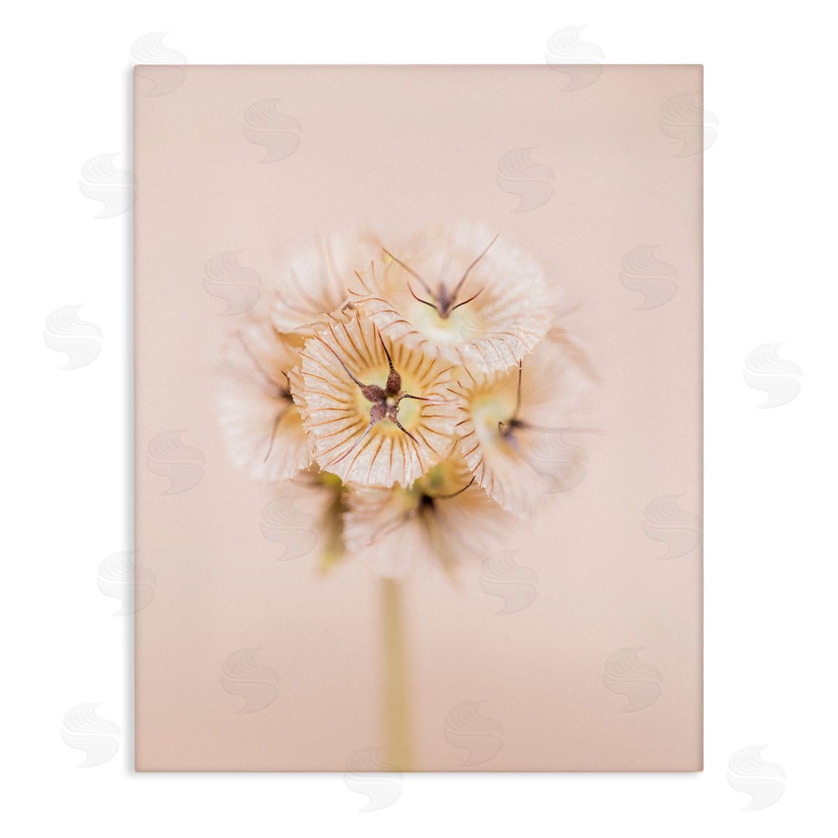 Renee W. Stramel Pastel Pink Floral Sprig Bloom