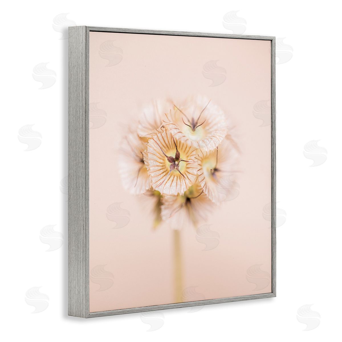 Renee W. Stramel Pastel Pink Floral Sprig Bloom
