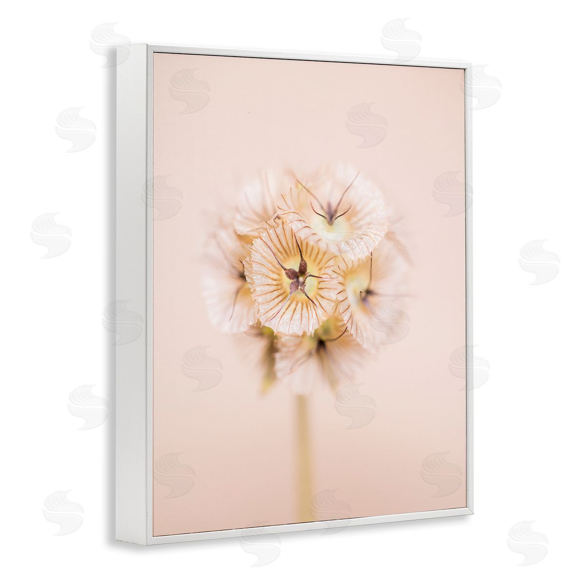 Renee W. Stramel Pastel Pink Floral Sprig Bloom