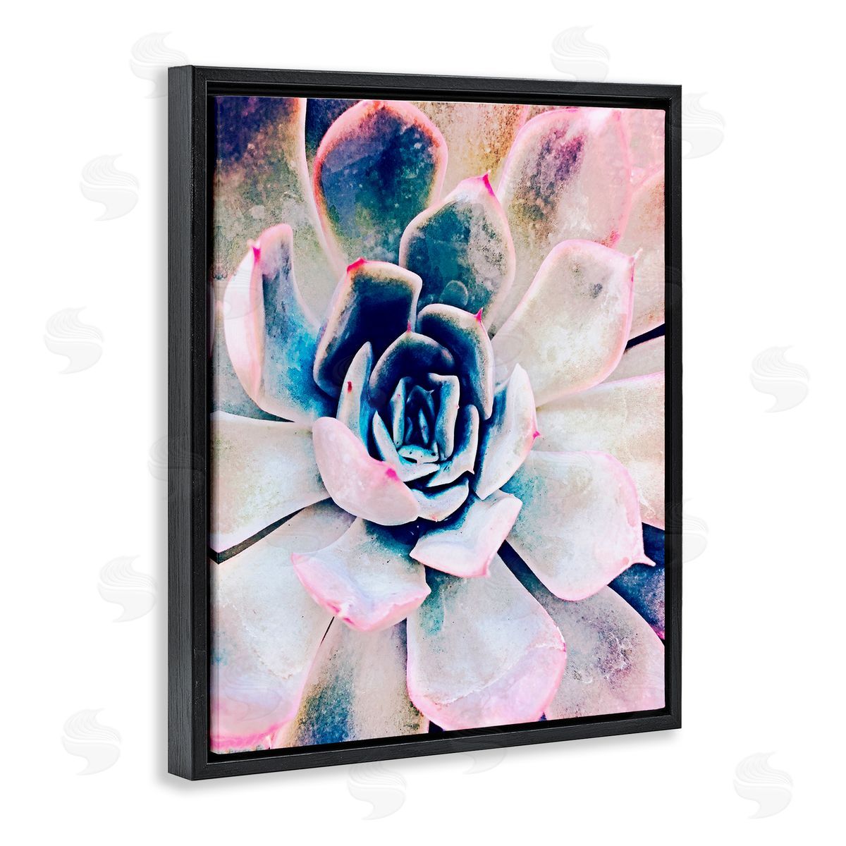 Irena Orlov Modern Succulent Plant View