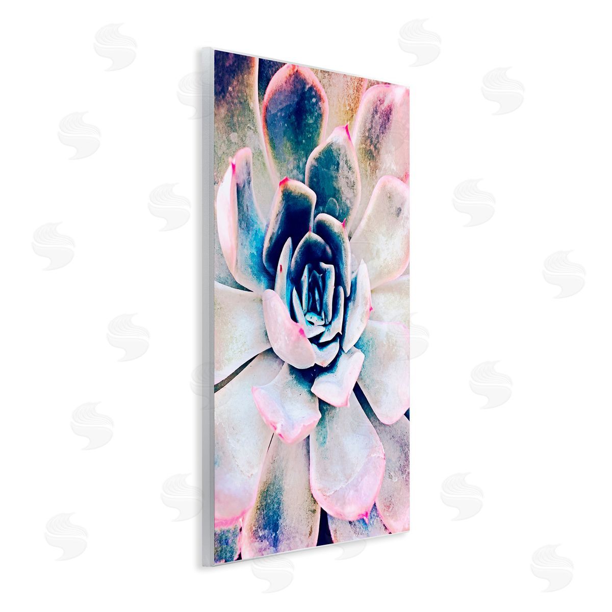 Irena Orlov Modern Succulent Plant View