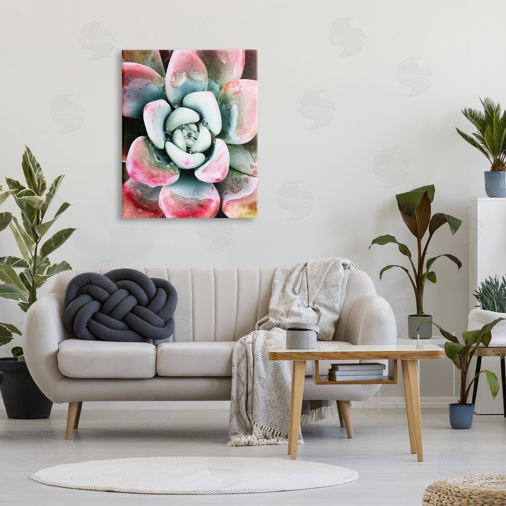 Irena Orlov Succulent Plant Rain Droplet