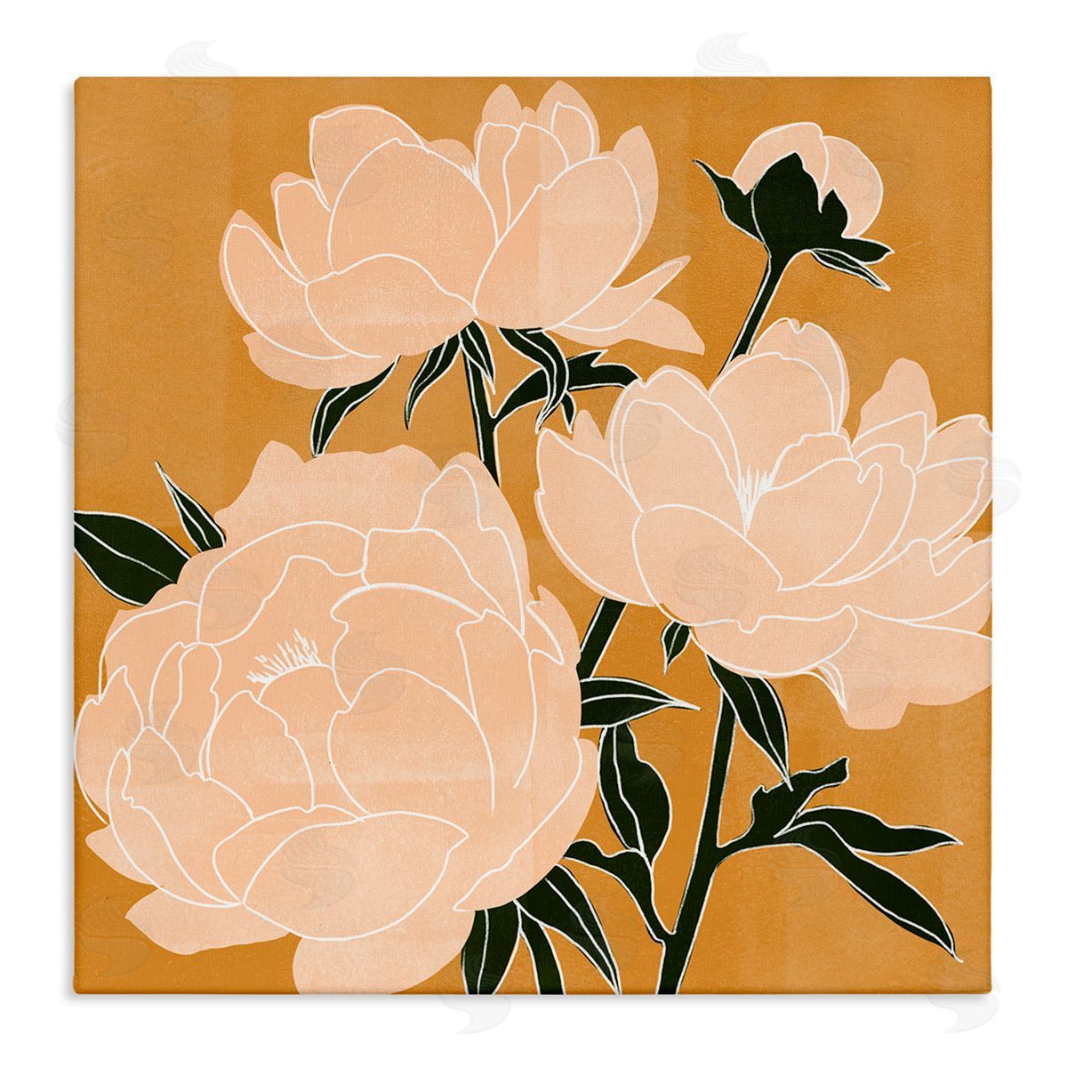 Emma Scarvey Contemporary Peony Blooms  Stretched Canvas Wall Art Print