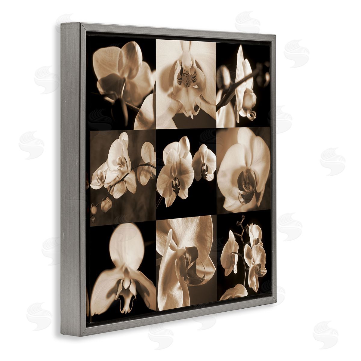 Caroline Kelly Sepia Orchid Varied Photography Gray Floating Frame Canvas Wall Art Print