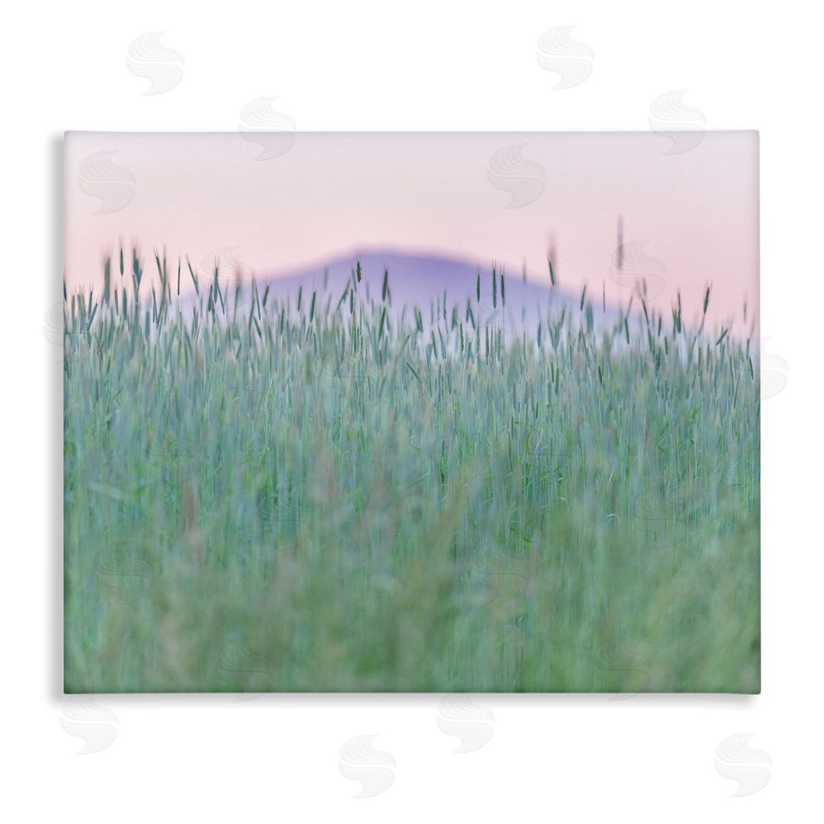 Nancy Crowell Wheat Field Pastel Mountain Peak