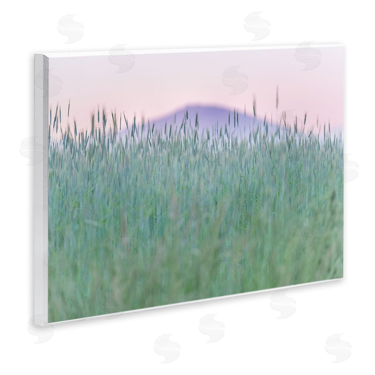 Nancy Crowell Wheat Field Pastel Mountain Peak