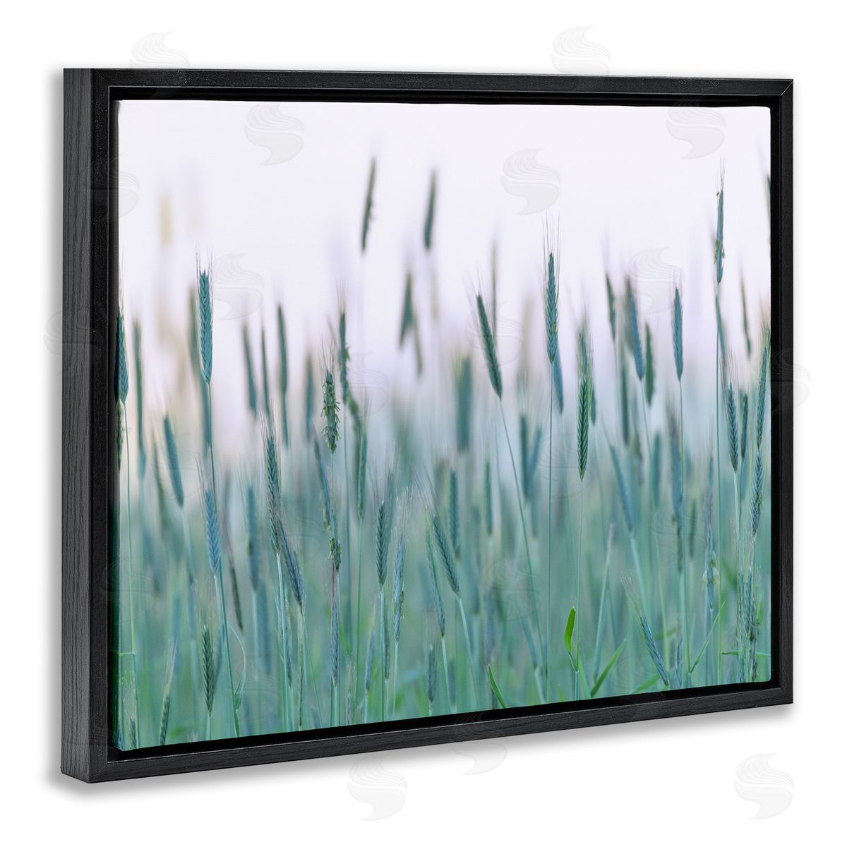 Nancy Crowell Green Wheat Field Sprigs 