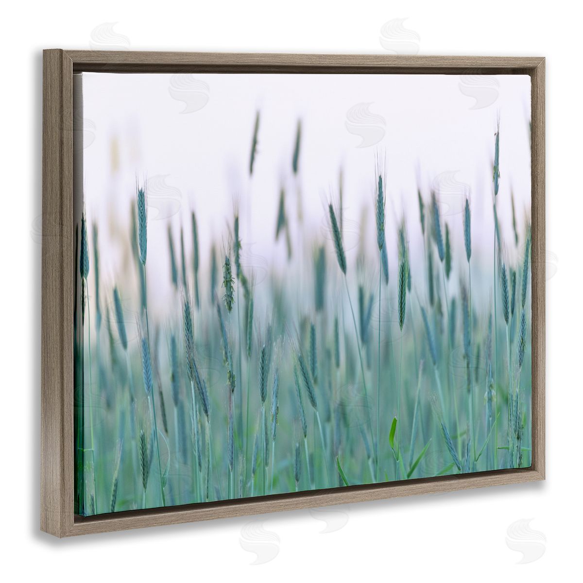 Nancy Crowell Green Wheat Field Sprigs 