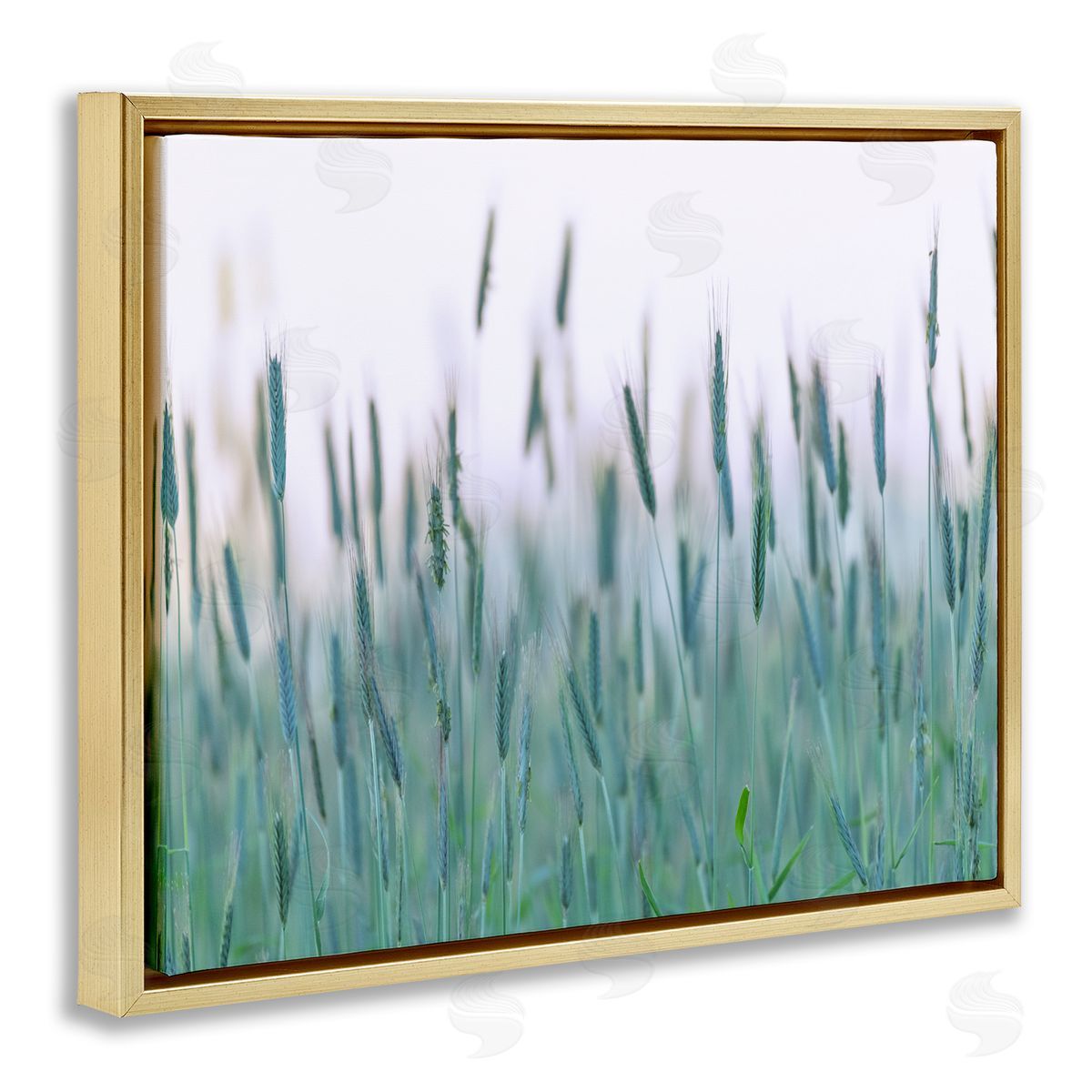 Nancy Crowell Green Wheat Field Sprigs 