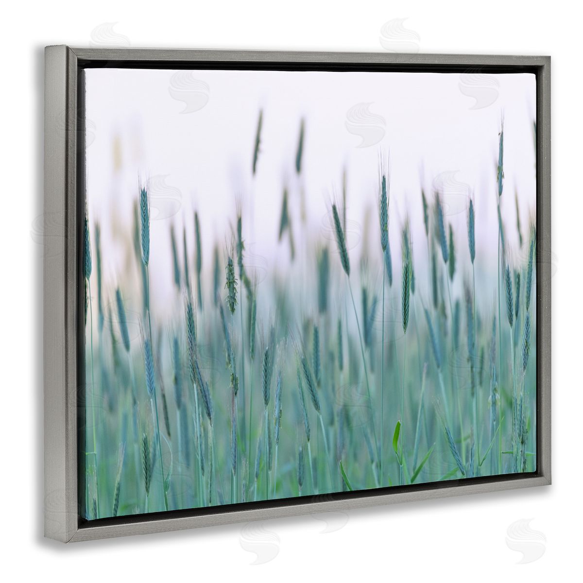Nancy Crowell Green Wheat Field Sprigs 