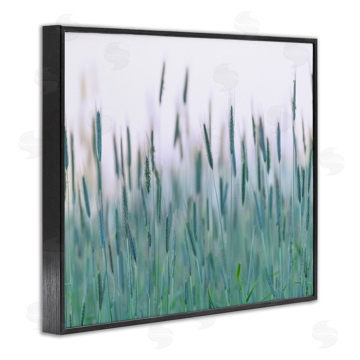 Nancy Crowell Green Wheat Field Sprigs 