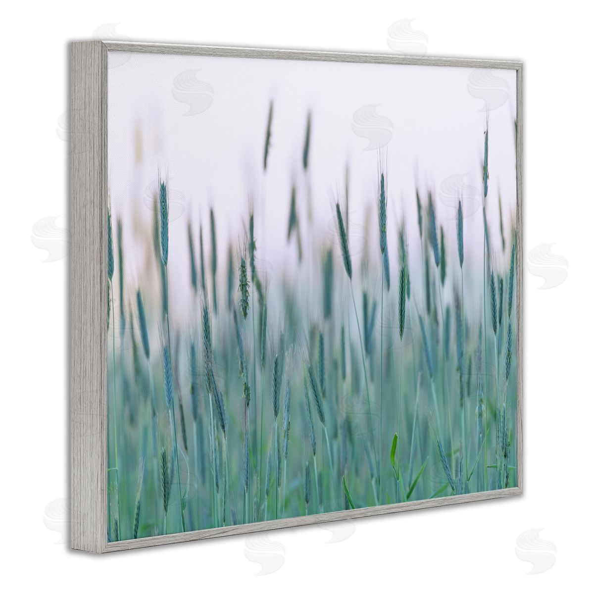 Nancy Crowell Green Wheat Field Sprigs 