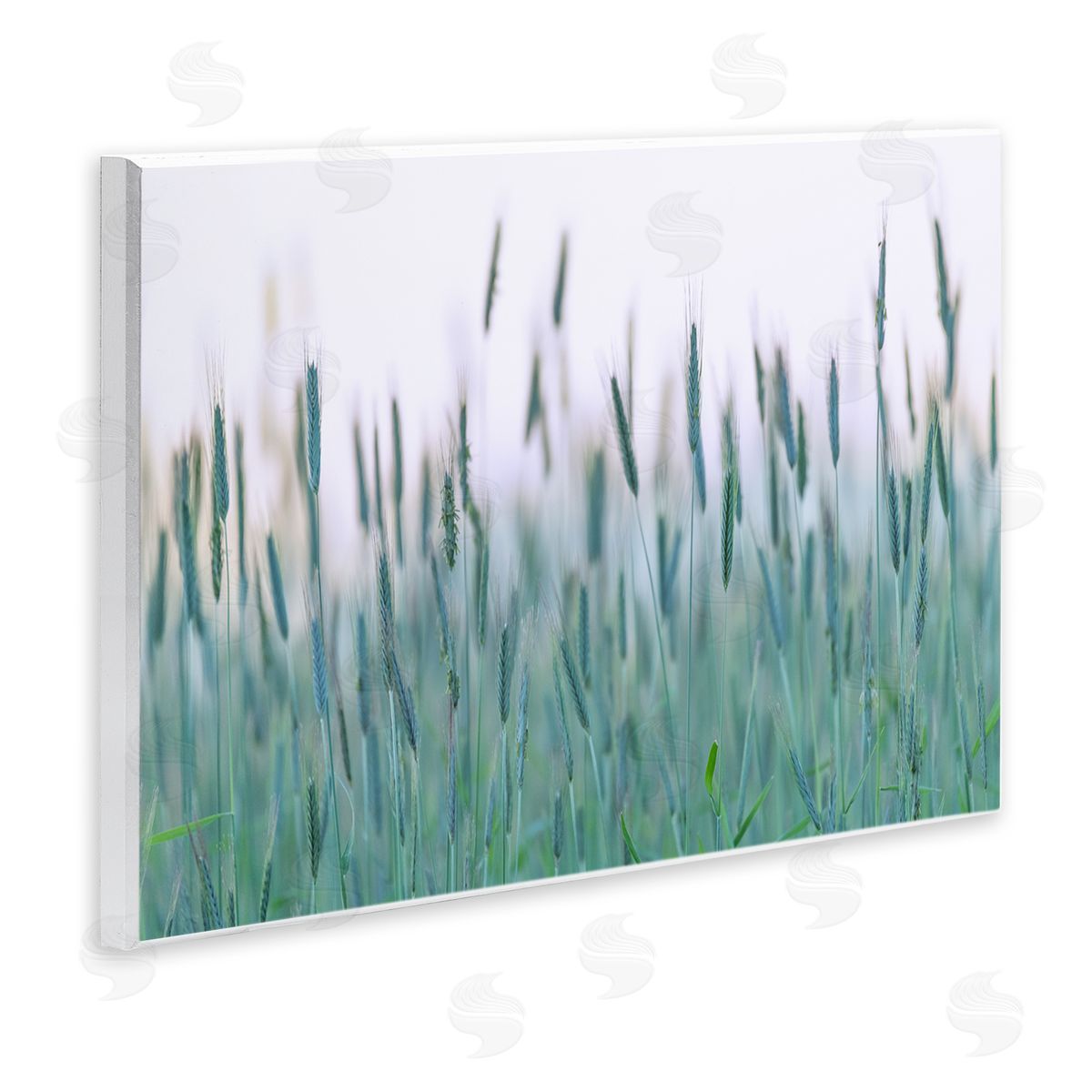 Nancy Crowell Green Wheat Field Sprigs 