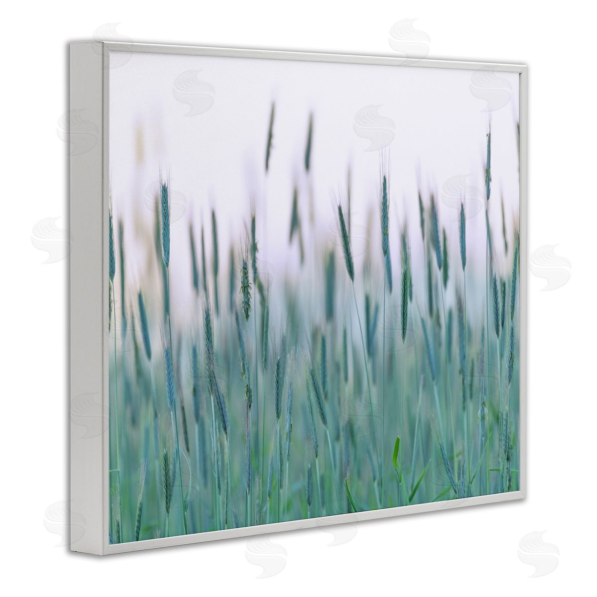 Nancy Crowell Green Wheat Field Sprigs 