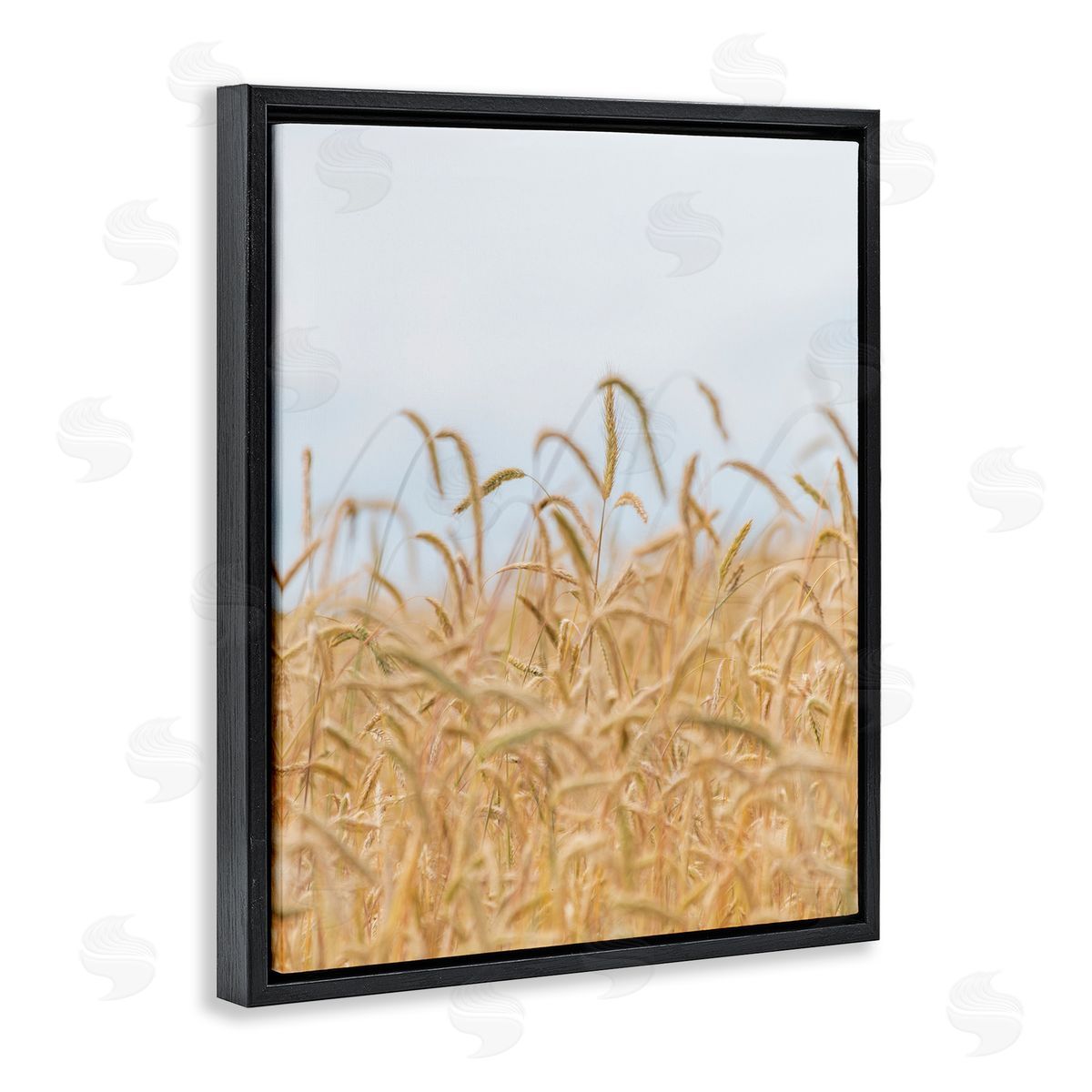 Nancy Crowell Rural Wheat Field Crops