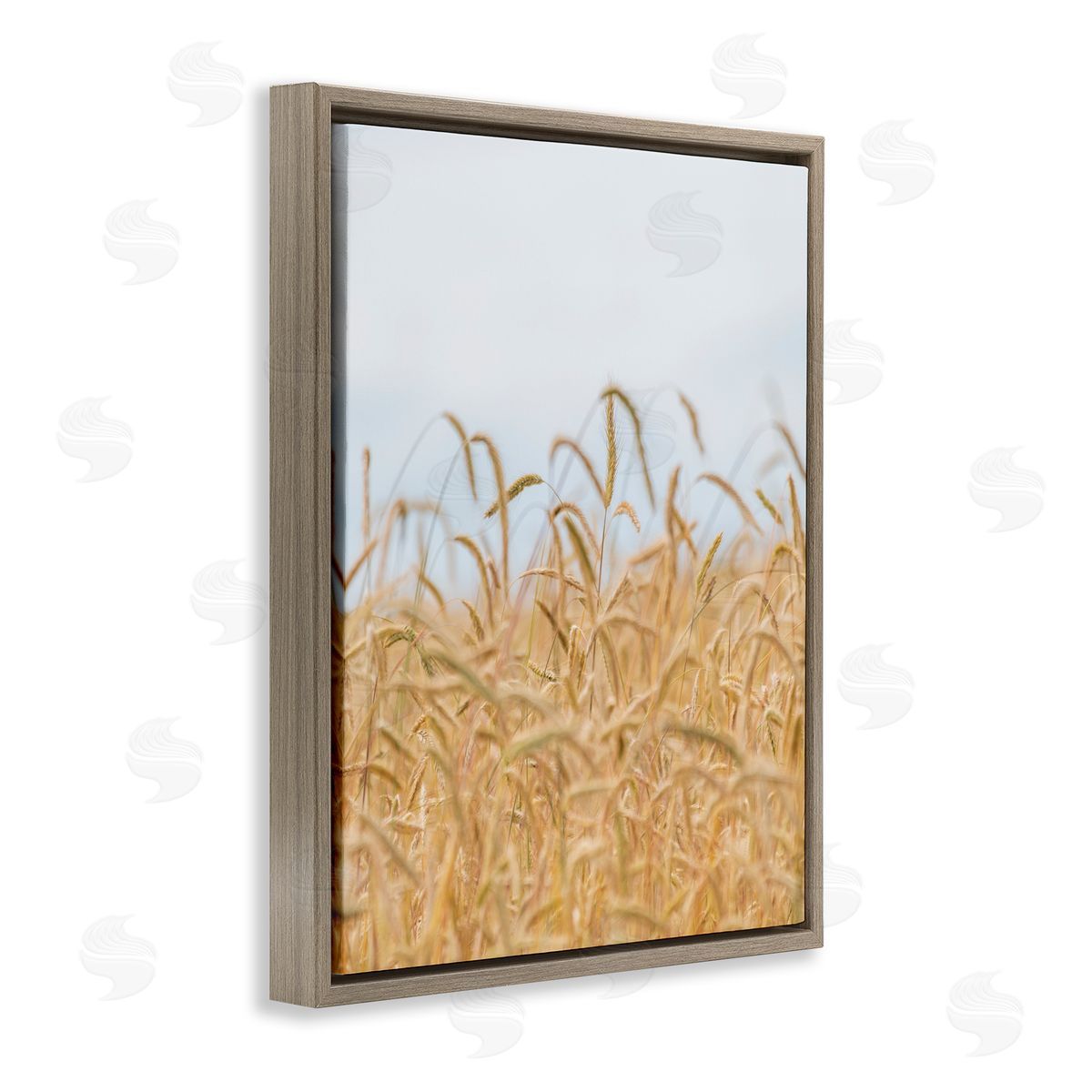 Nancy Crowell Rural Wheat Field Crops
