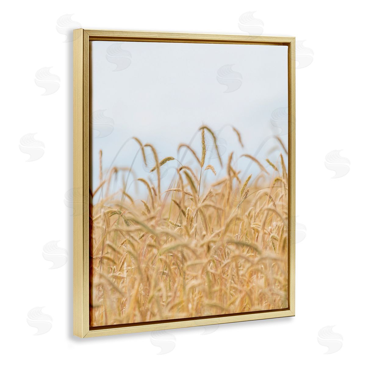 Nancy Crowell Rural Wheat Field Crops