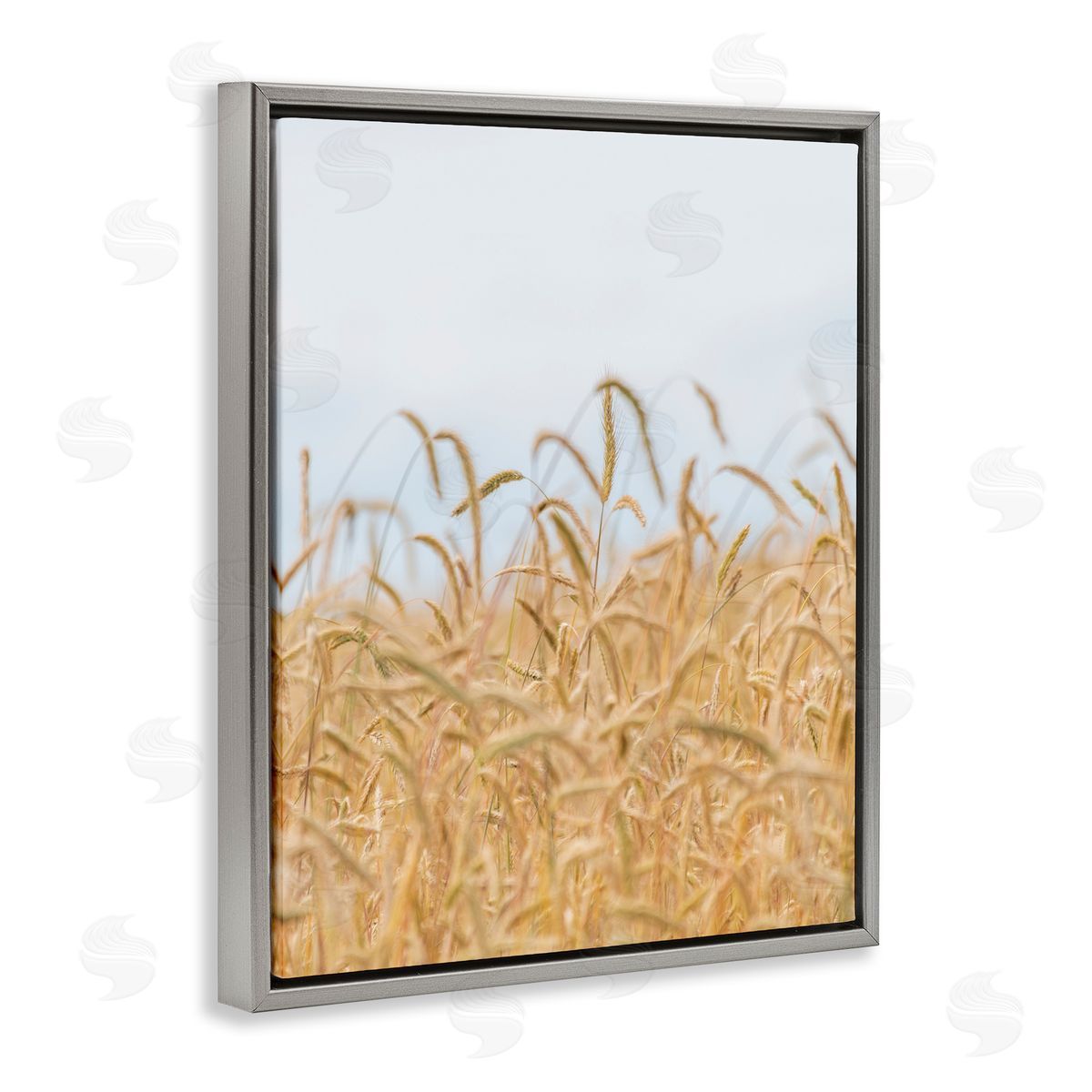 Nancy Crowell Rural Wheat Field Crops