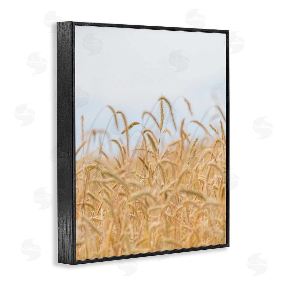 Nancy Crowell Rural Wheat Field Crops