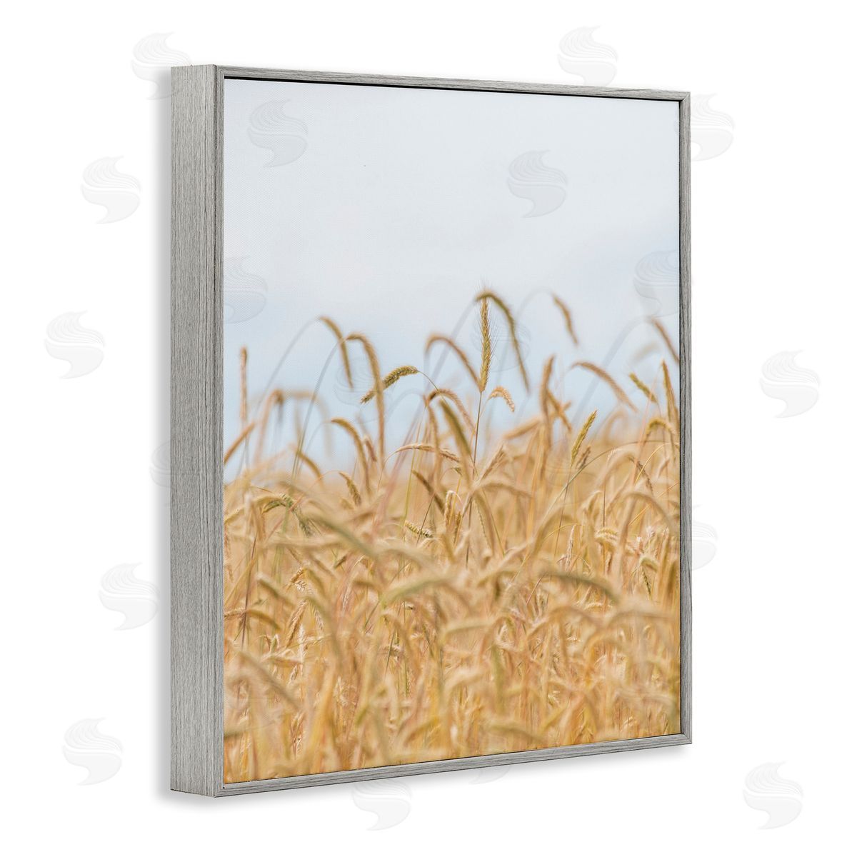 Nancy Crowell Rural Wheat Field Crops