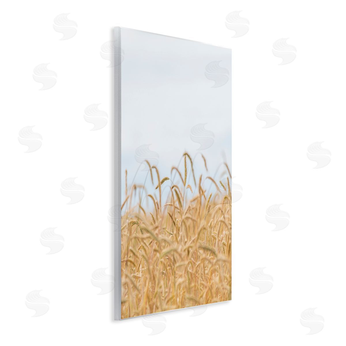 Nancy Crowell Rural Wheat Field Crops