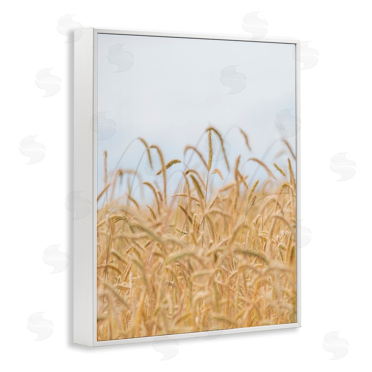 Nancy Crowell Rural Wheat Field Crops