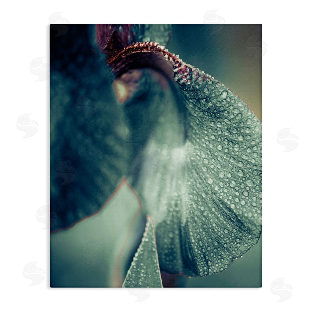 Incado Close Up Water Drip Petals