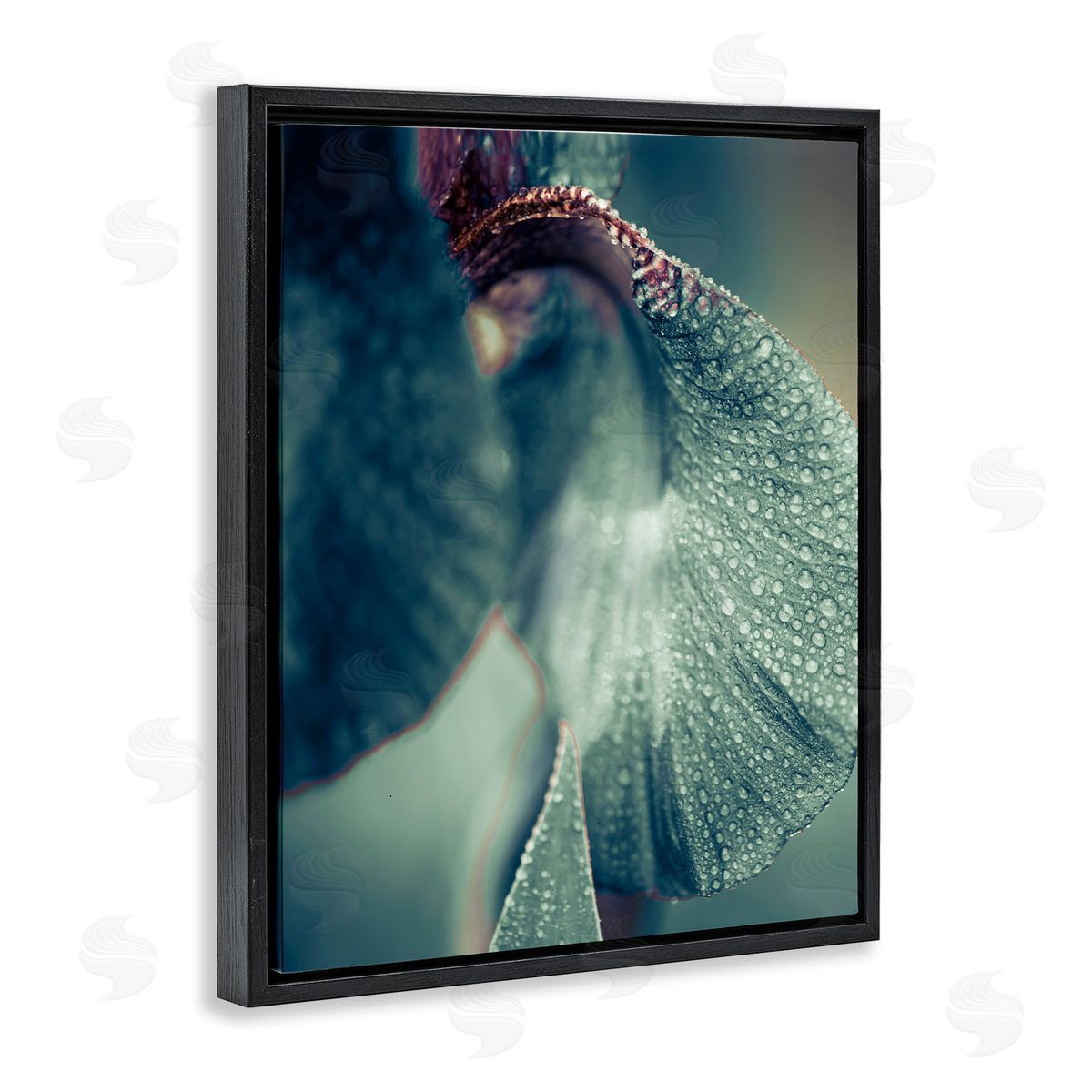 Incado Close Up Water Drip Petals