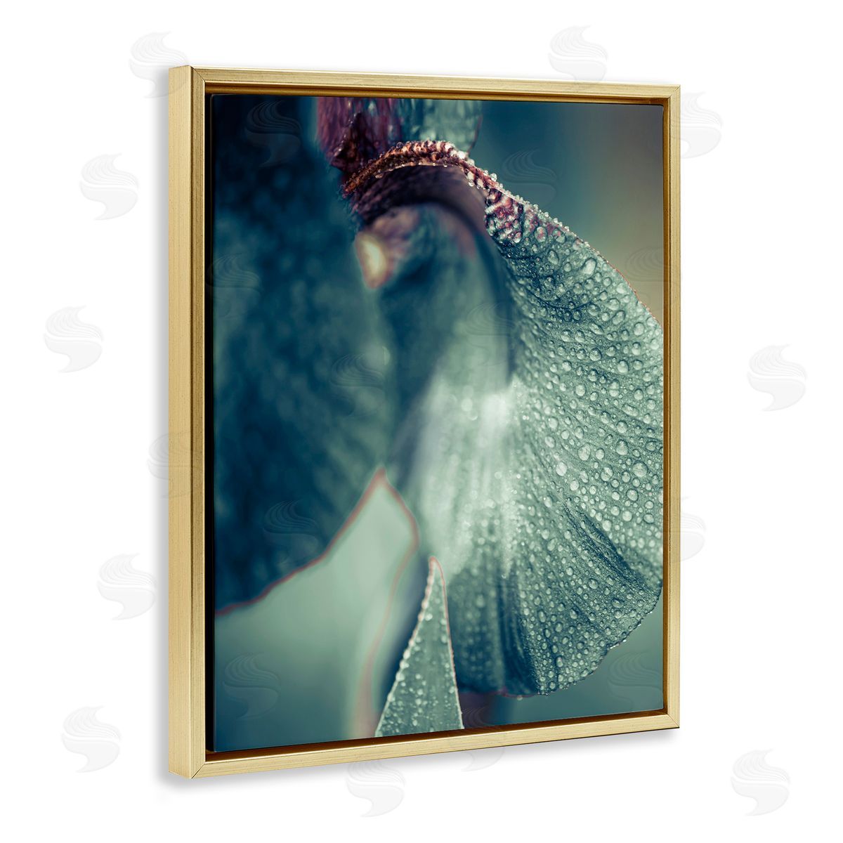 Incado Close Up Water Drip Petals