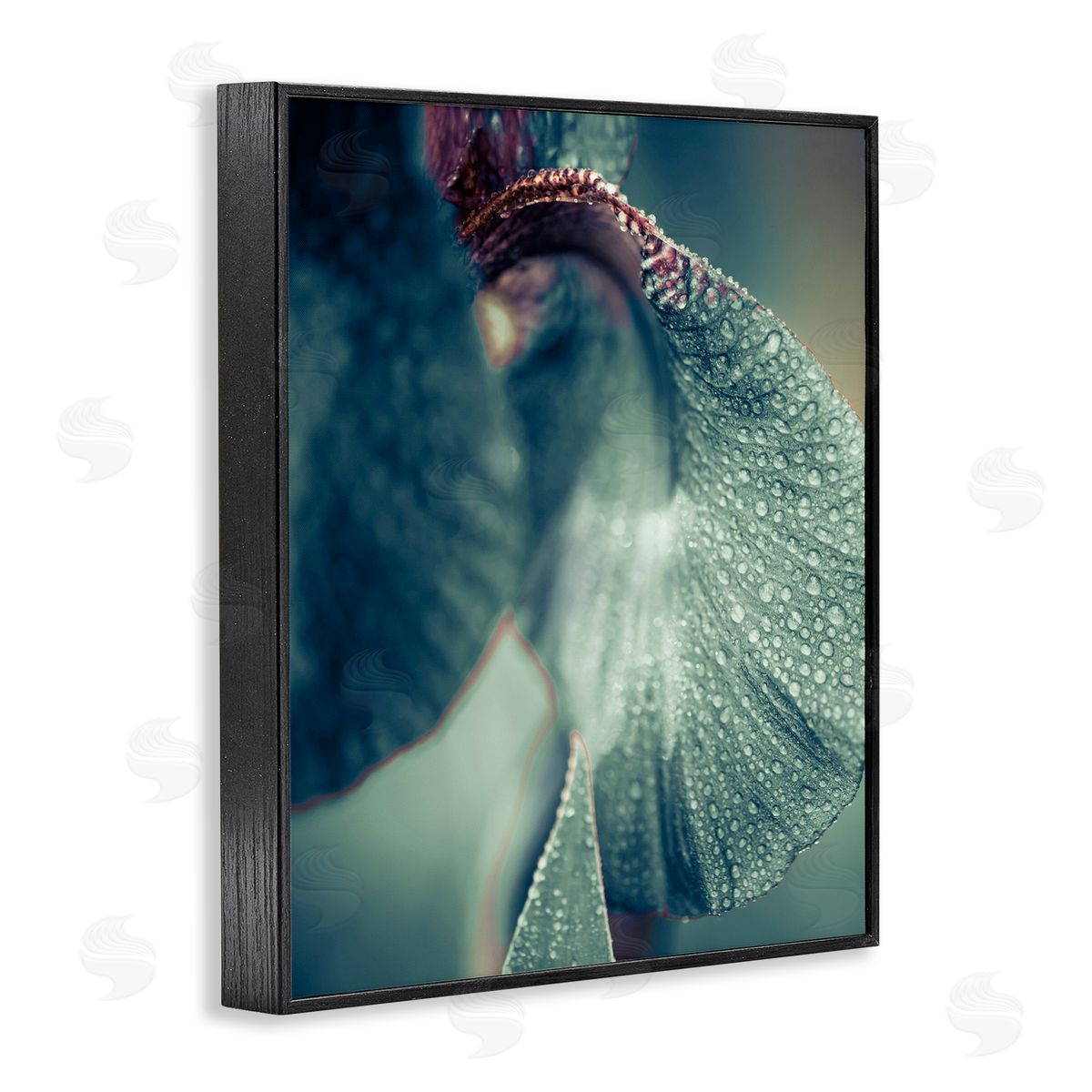 Incado Close Up Water Drip Petals