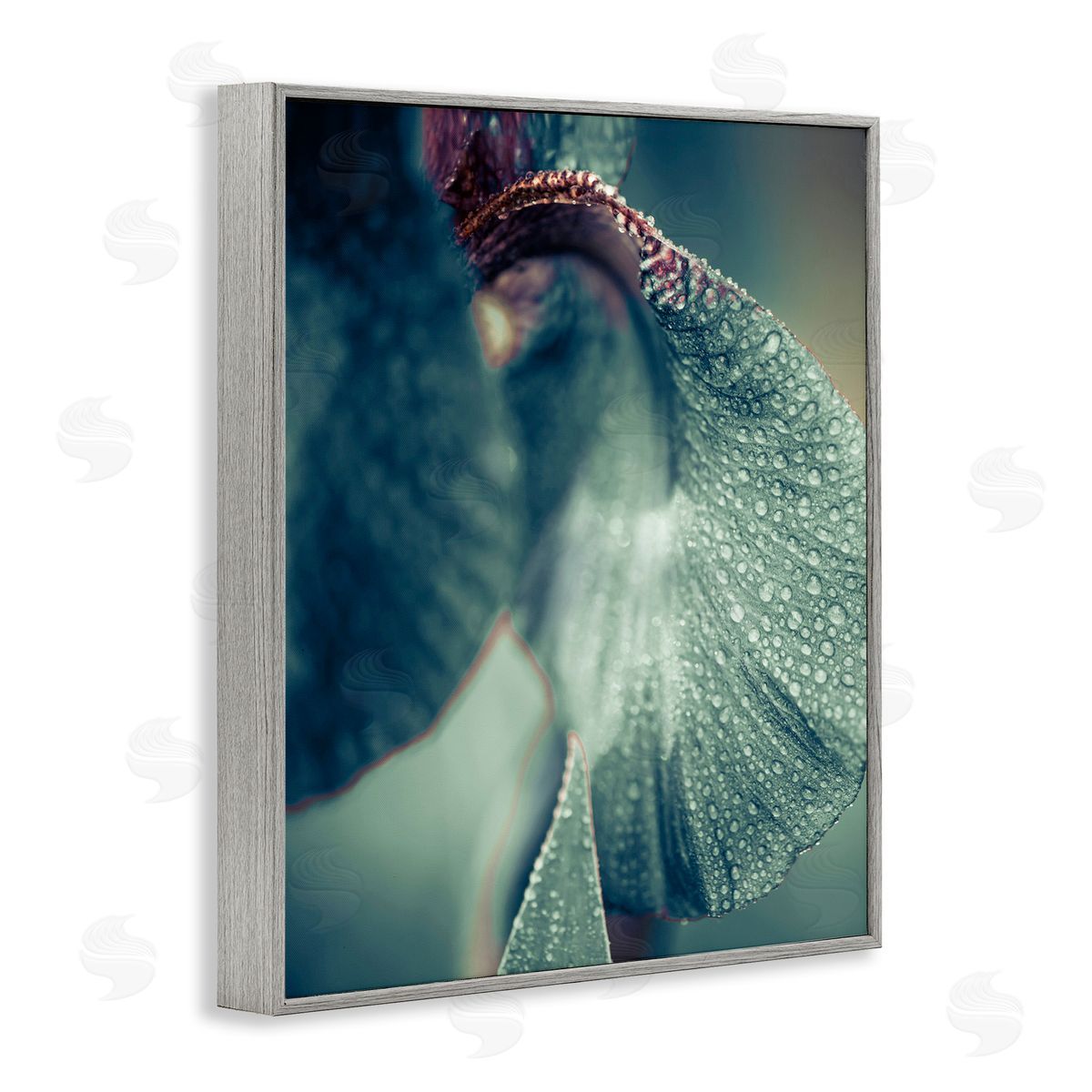 Incado Close Up Water Drip Petals