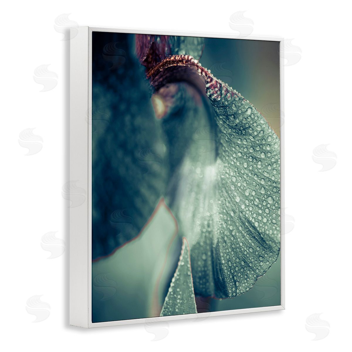 Incado Close Up Water Drip Petals