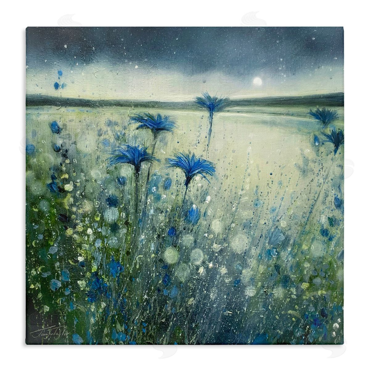 Jennifer Taylor Art Lakeside Botanicals Moonlit Night Sky Stretched Canvas Wall Art Print