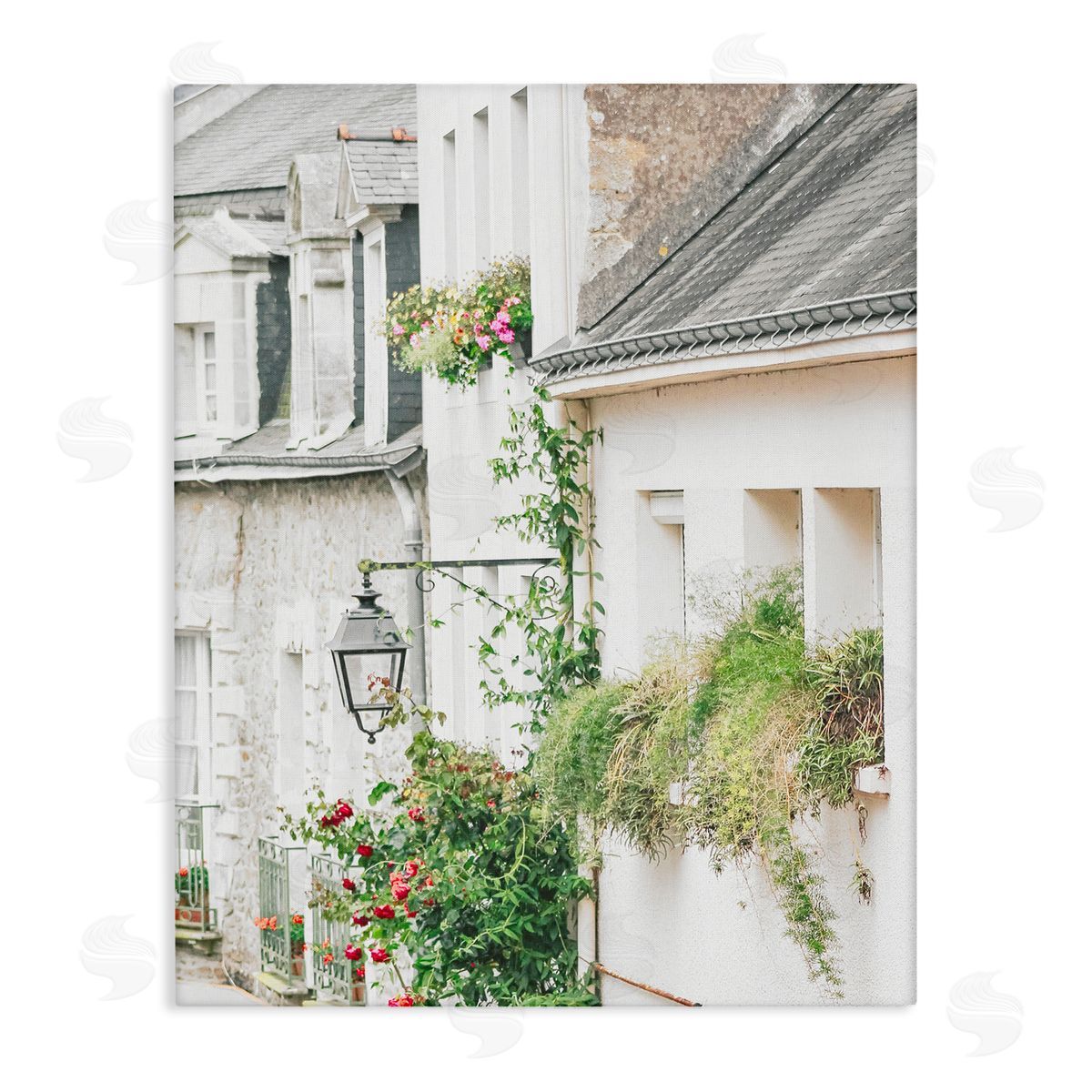 Leah Straatsma Town Street Blooming Vines