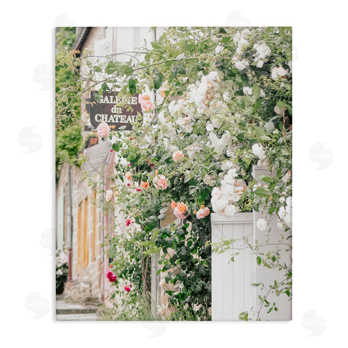 Leah Straatsma Roses Blooming fr_sideench Neighborhood