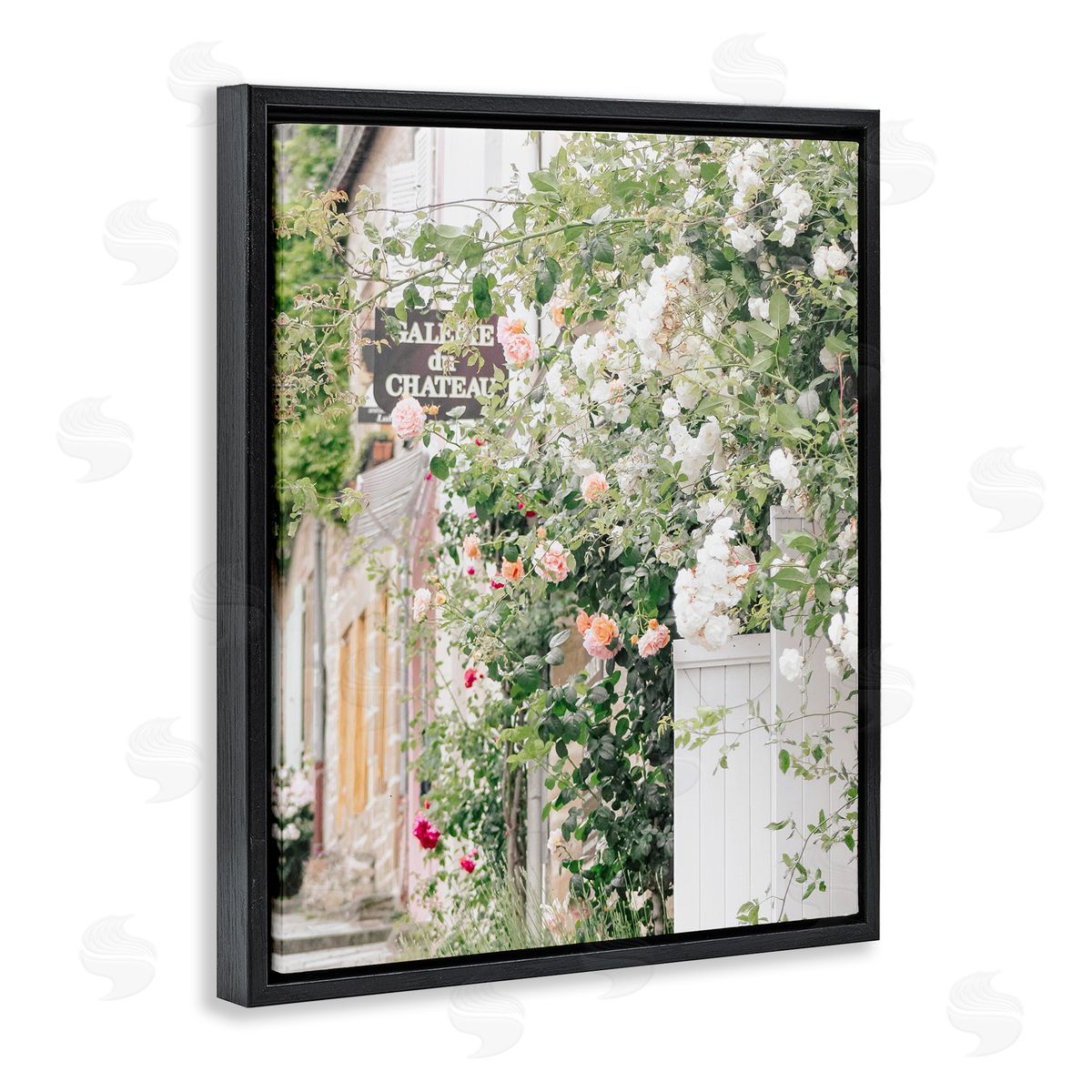 Leah Straatsma Roses Blooming fr_sideench Neighborhood