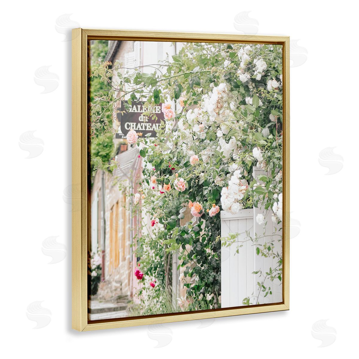 Leah Straatsma Roses Blooming fr_sideench Neighborhood