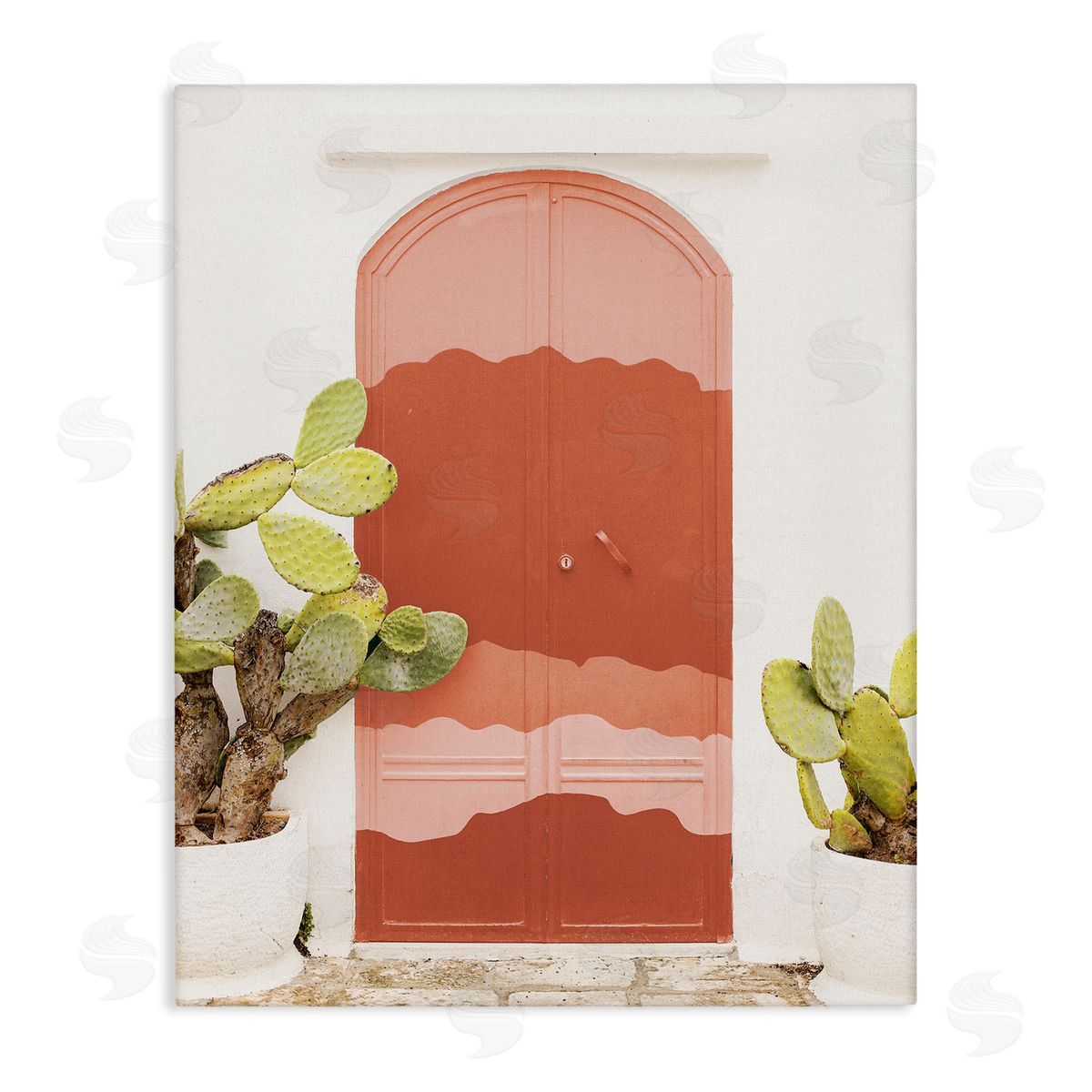 Leah Straatsma Contemporary Desert Doorway Cactus
