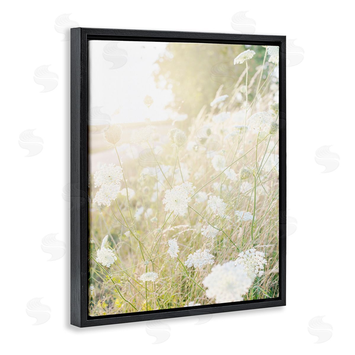 Leah Straatsma Sunlit Meadow Blooming Wildflowers