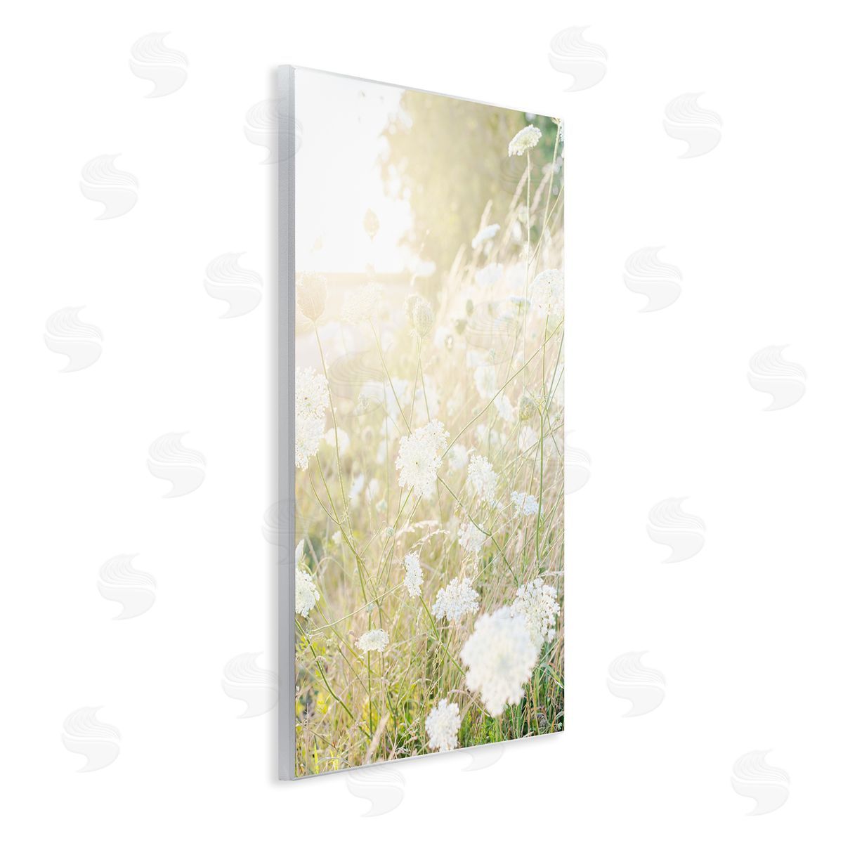Leah Straatsma Sunlit Meadow Blooming Wildflowers